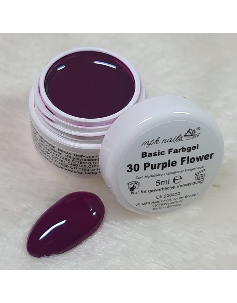 Basic Farbgel 30 Purple Flower