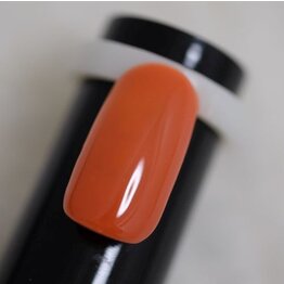 Basic Gel Polish  23 Dark Orange