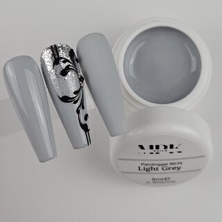 Deluxe UV Painting Gel 5ml B639 Light Grey