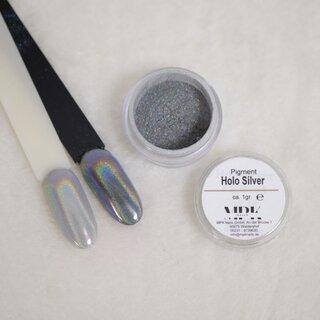Holographic Pigment Silver