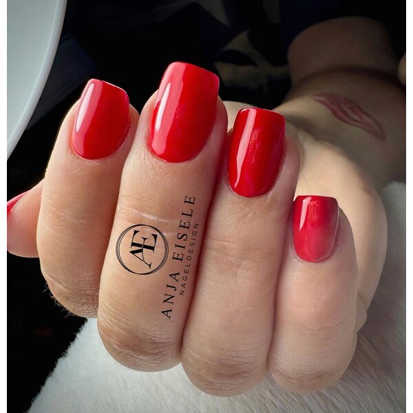 MPK Nails® Basic Farbgel 6 Misses