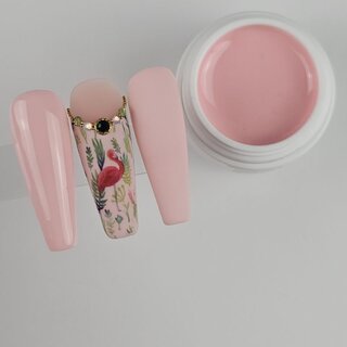 Basic Farbgel 5 Babe