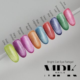 9x Bright Cat Eye UV Nagellack  im Set
