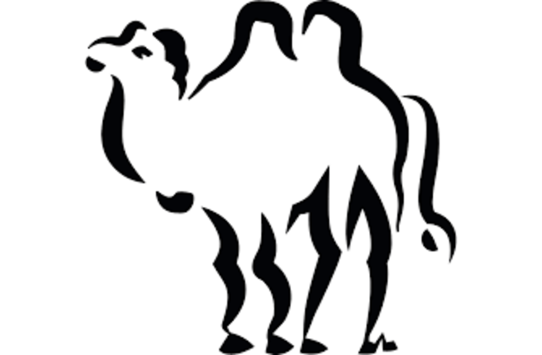 Camel hair comforter