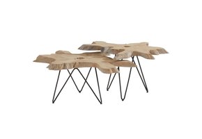 Sumatra coffee table tree trunk set