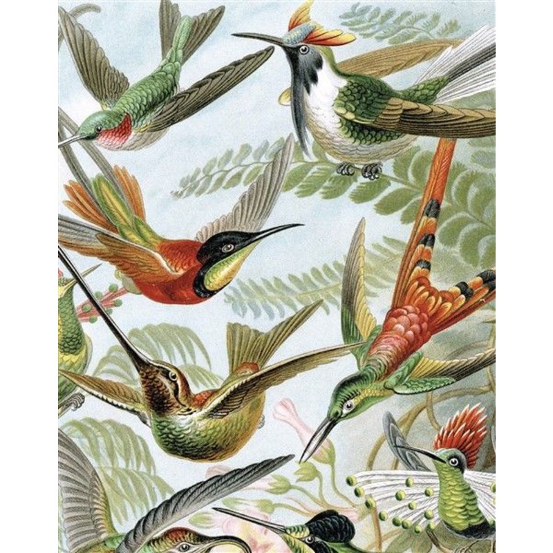 KEK Amsterdam-collectie Wallpaper Panel Exotic Birds