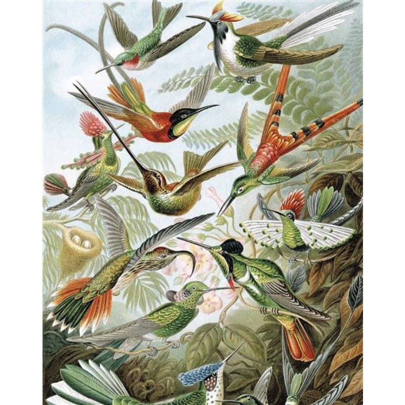 KEK Amsterdam-collectie Wallpaper Panel Exotic Birds