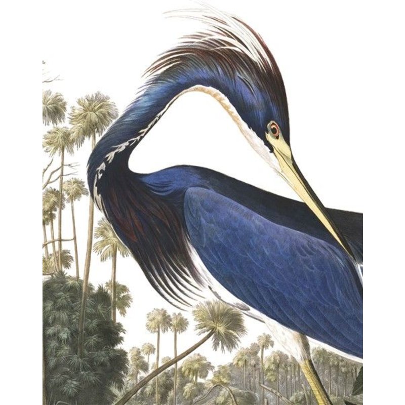 KEK Amsterdam-collectie Wallpaper Panel Louisiana Heron