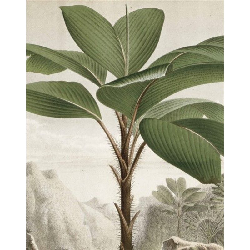 KEK Amsterdam-collectie Wallpaper Panel Banana Tree