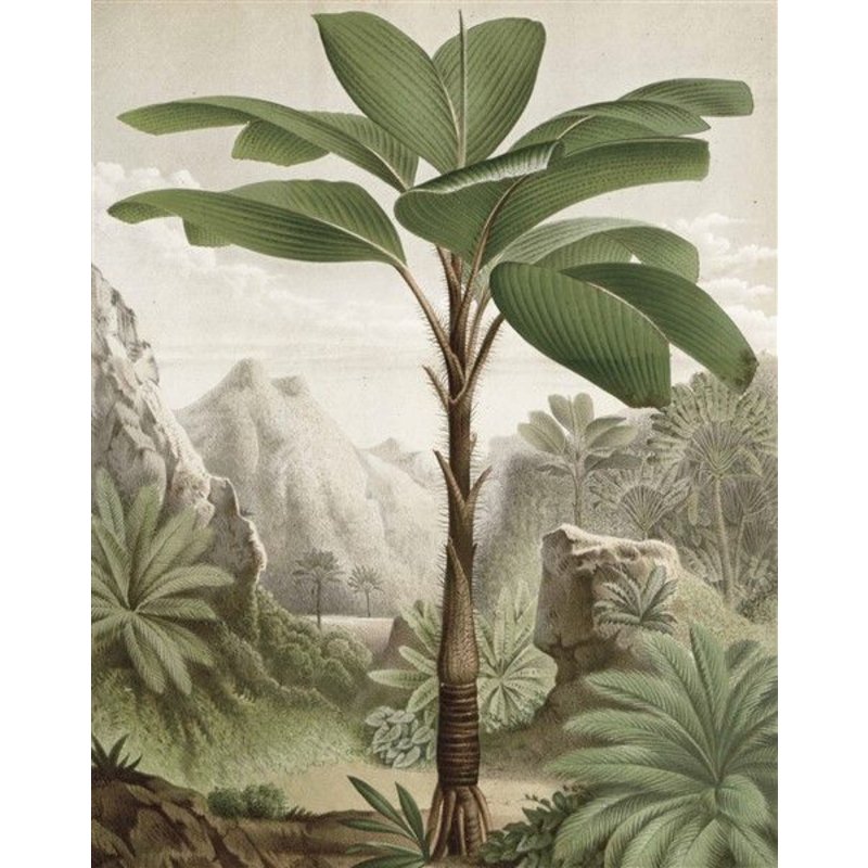 KEK Amsterdam-collectie Wallpaper Panel Banana Tree