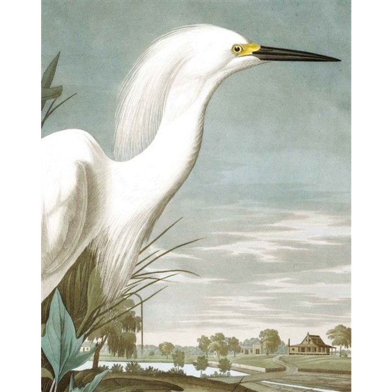 KEK Amsterdam-collectie Wallpaper Panel Snowy Heron