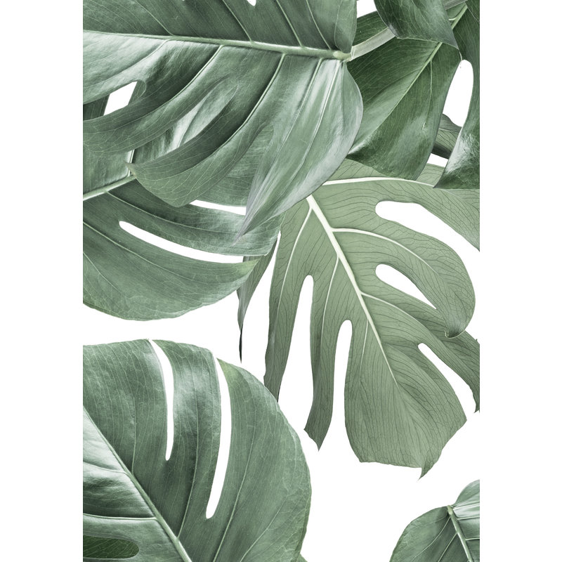 KEK Amsterdam-collectie Wallpaper Monstera white