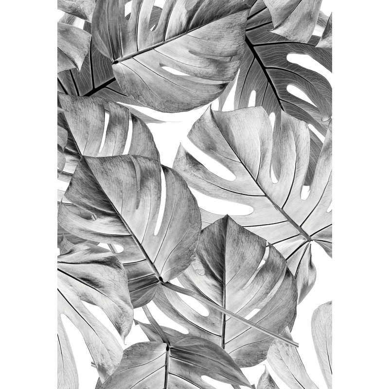 KEK Amsterdam-collectie Wallpaper Monstera Black & white