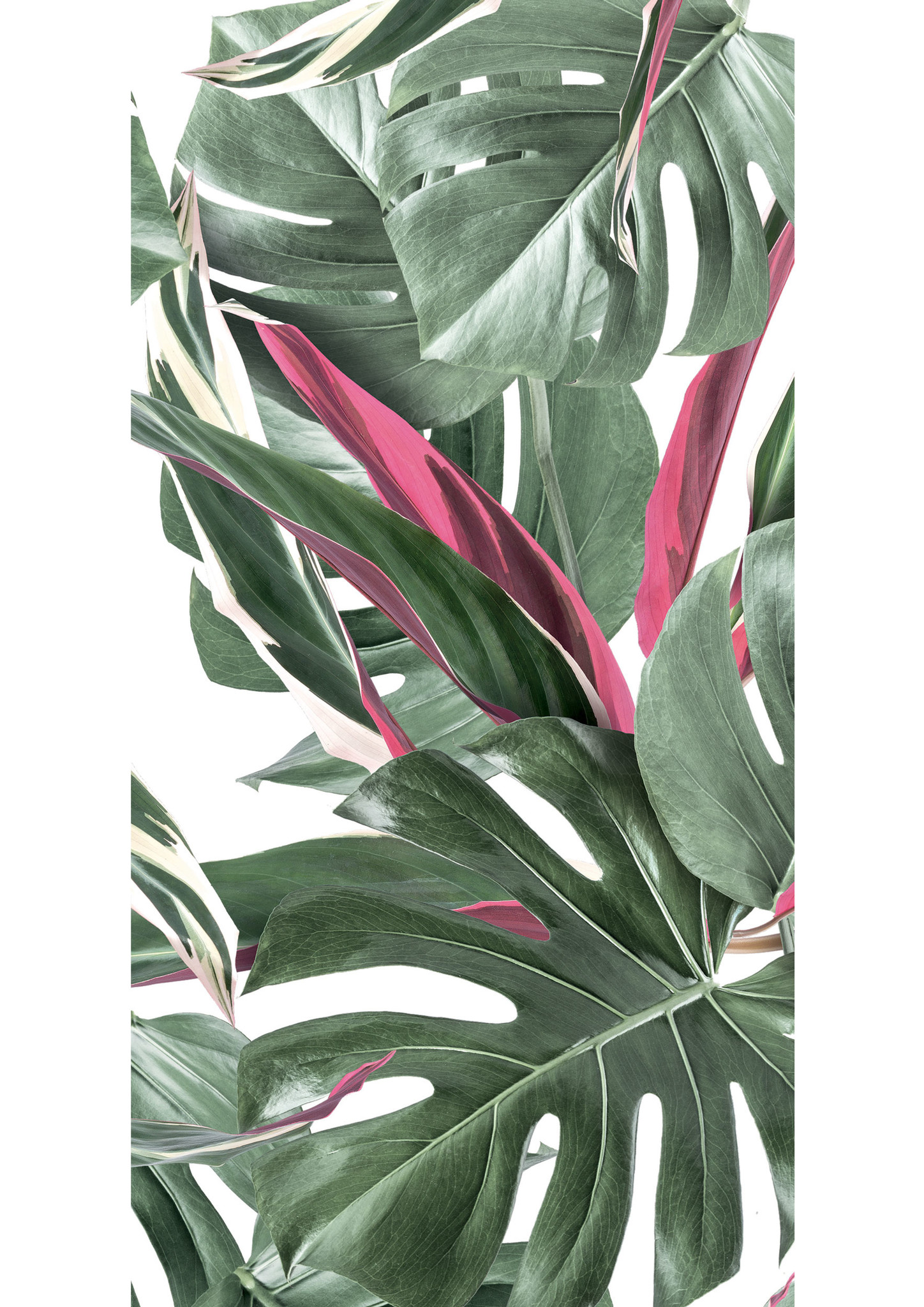 KEK Amsterdam-collectie Behang Botanical leaves, white