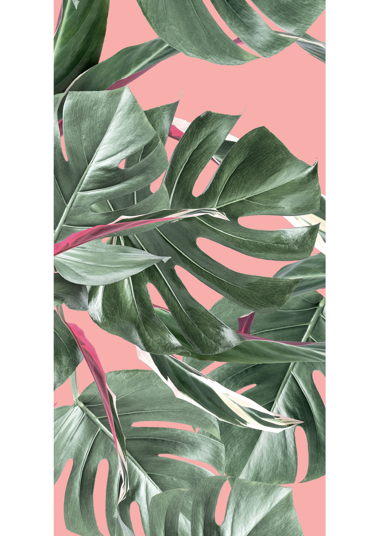 KEK Amsterdam-collectie Behang Botanical leaves, pink