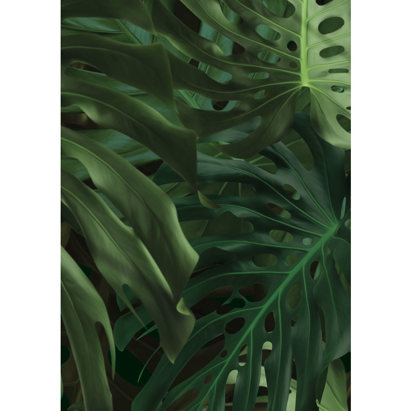 KEK Amsterdam-collectie Wallpaper Monstera leaves