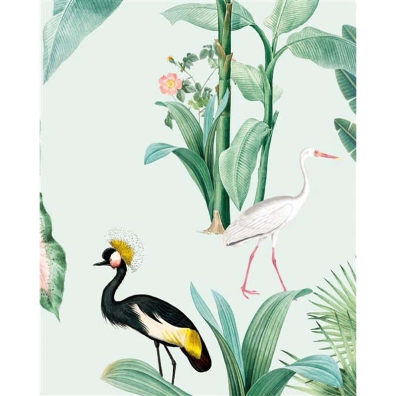 Creative Lab Amsterdam-collectie Pelican behang Mural