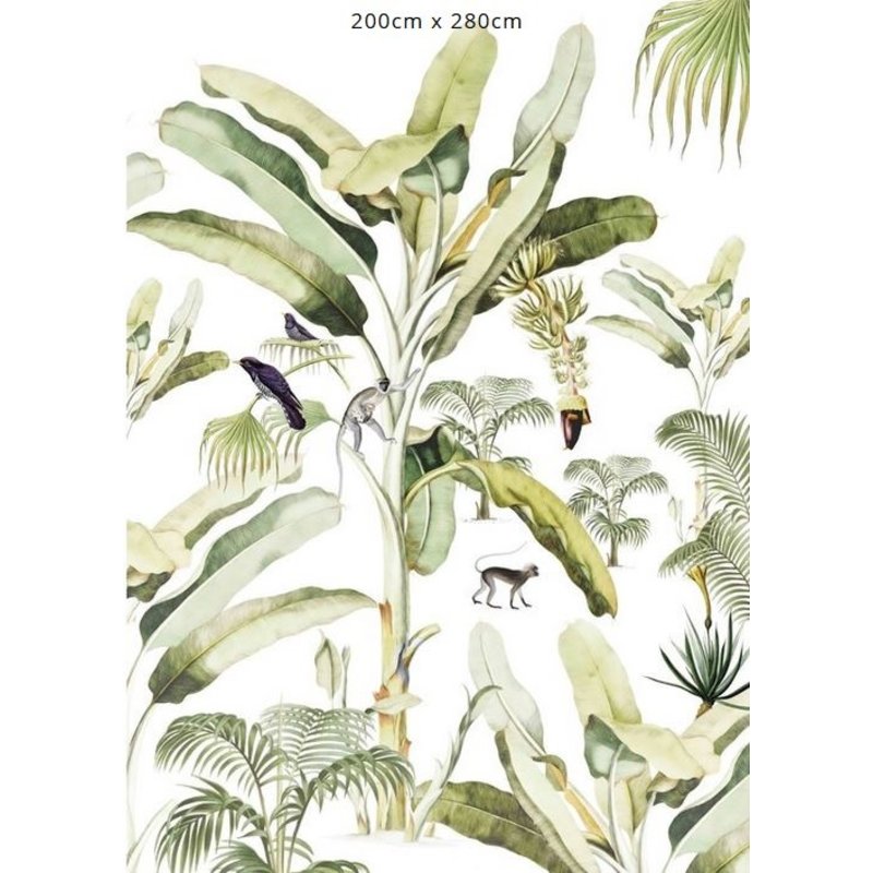 Creative Lab Amsterdam-collectie Baby Bananas behang Mural