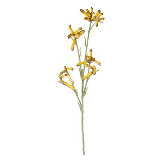 Mr Plant Kunstbloem Kangoeroepoot geel 65 cm