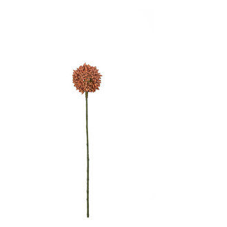 Mr Plant Kunstbloem Allium (sierui) oranje 48 cm
