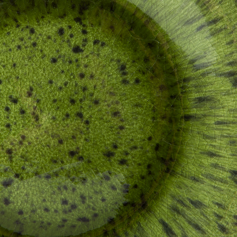HKLIVING-collectie the emeralds: ceramic side plate spotted, green (set of 2)