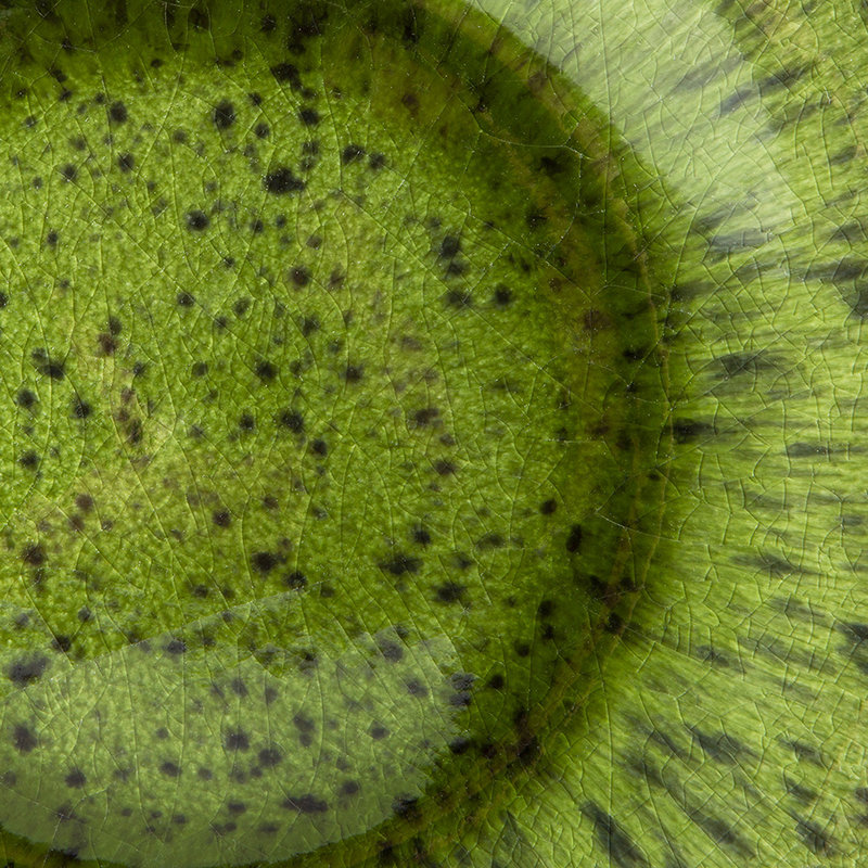 HKLIVING-collectie The emeralds keramiek dinerbord spotted groen (set van 2)