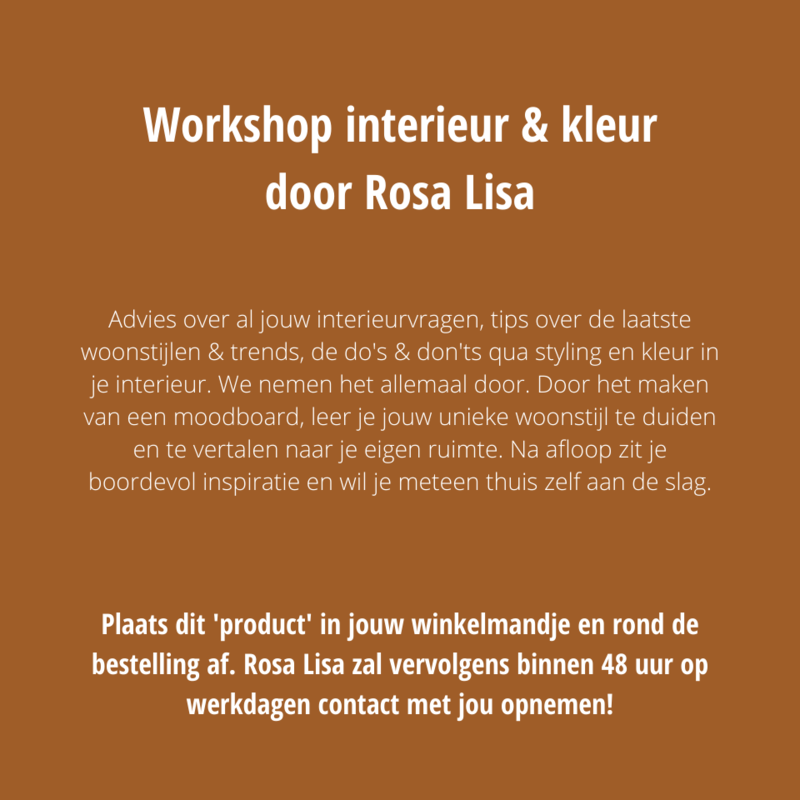 Private workshop interieur & kleur met Rosa Lisa