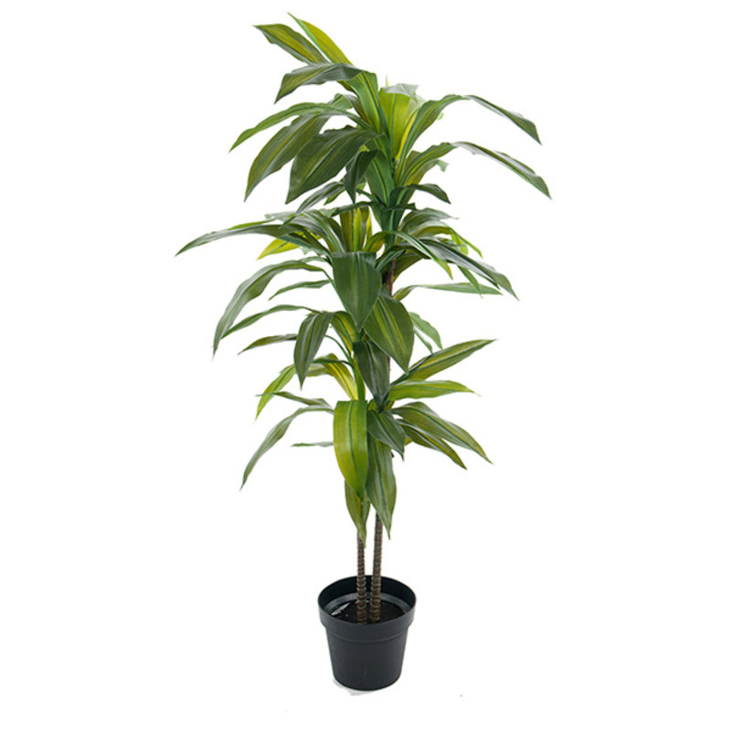 Mr Plant-collectie Mr Plant Kunstplant Dracena