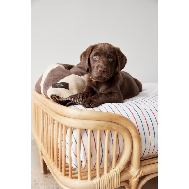 OYOY ZOO Otto Dog Bed Small