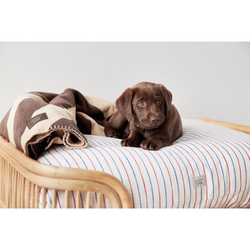 OYOY ZOO Otto Dog Bed Medium