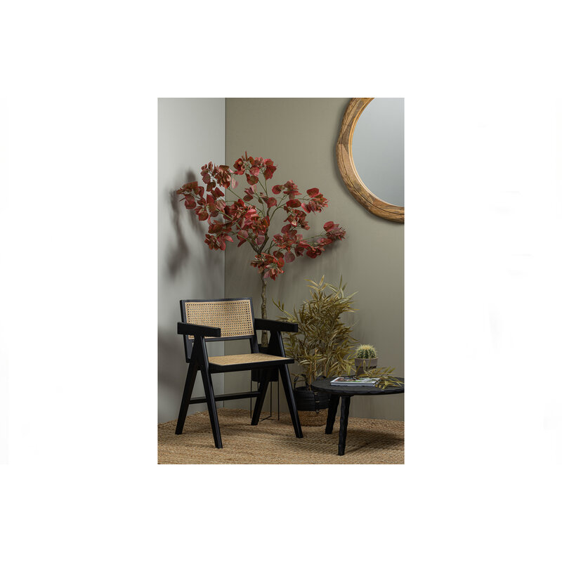 WOOOD Exclusive-collectie Gunn Dining Chair Rattan / Wood Black