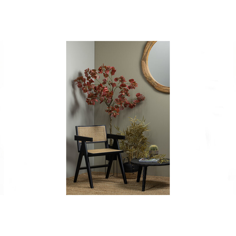 WOOOD Exclusive-collectie Gunn Eetkamerstoel Rattan / Hout Zwart