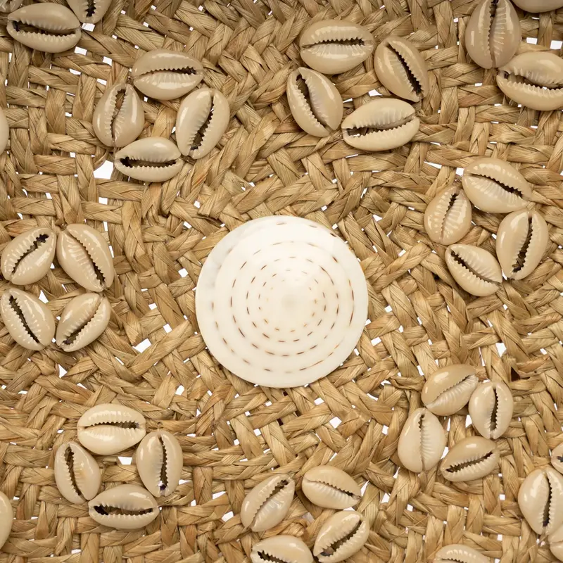 Bazar Bizar Caribe Shell Plate - Natural White - M