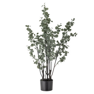 Bloomingville Eucalyptus Artificial Plant Green Plastic