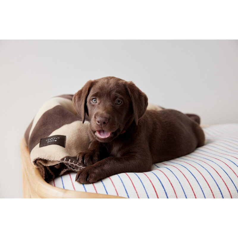 OYOY ZOO Dog blanket Kaya Large