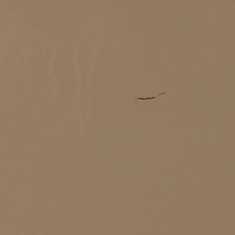 WOOOD-collectie Basu Dressoir Grenen Mud [fsc]