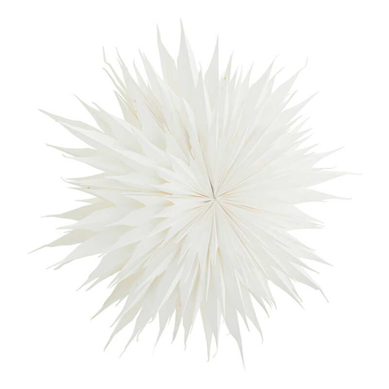 Madam Stoltz-collectie Papieren ster wit D:52 cm