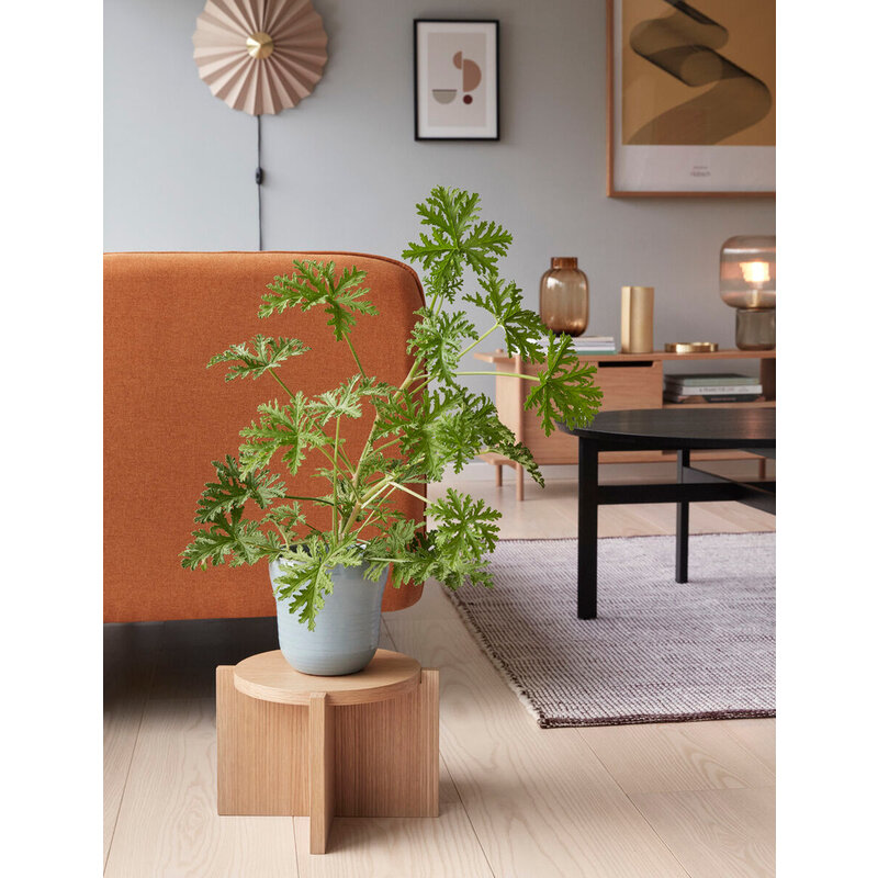 Hübsch-collectie Fjord Coffee Table Black