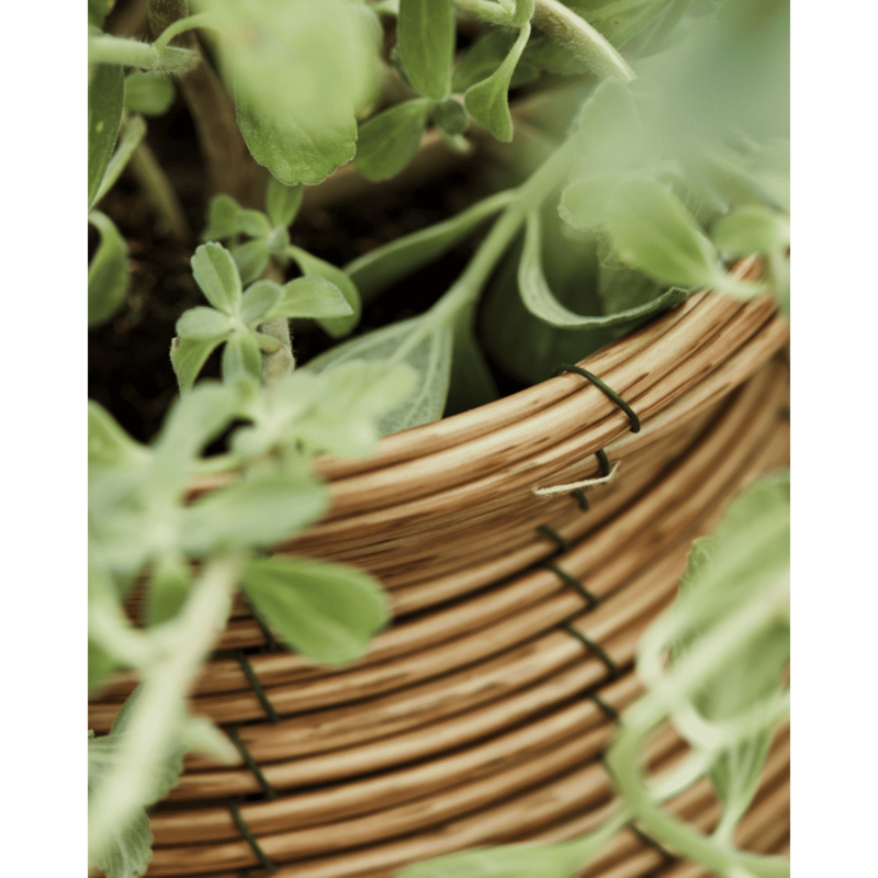 House Doctor-collectie Flower pot Boum Nature