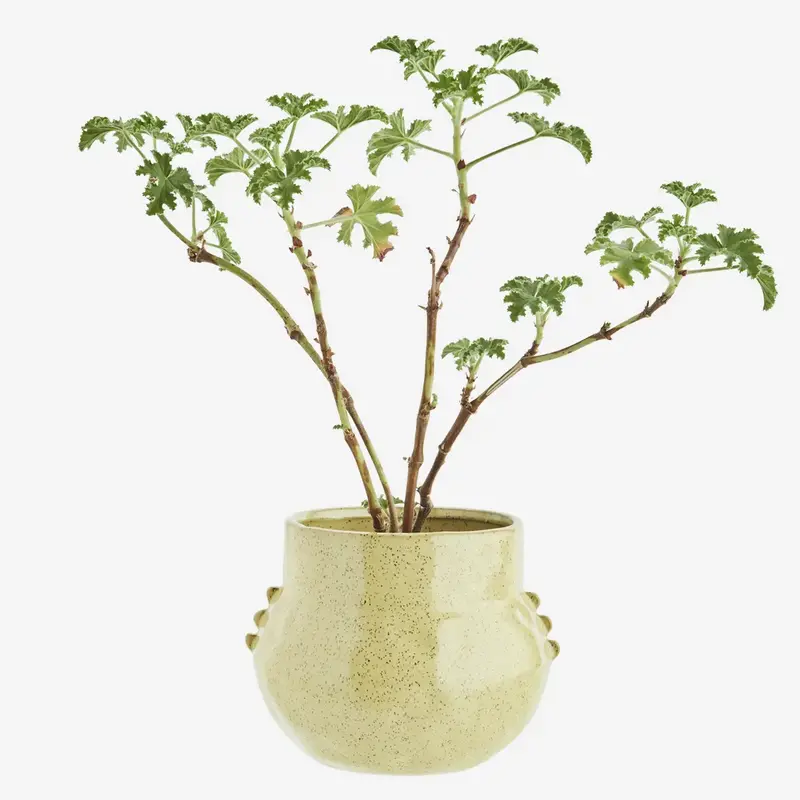 Madam Stoltz-collectie #REF! Stoneware flower pot Yellow