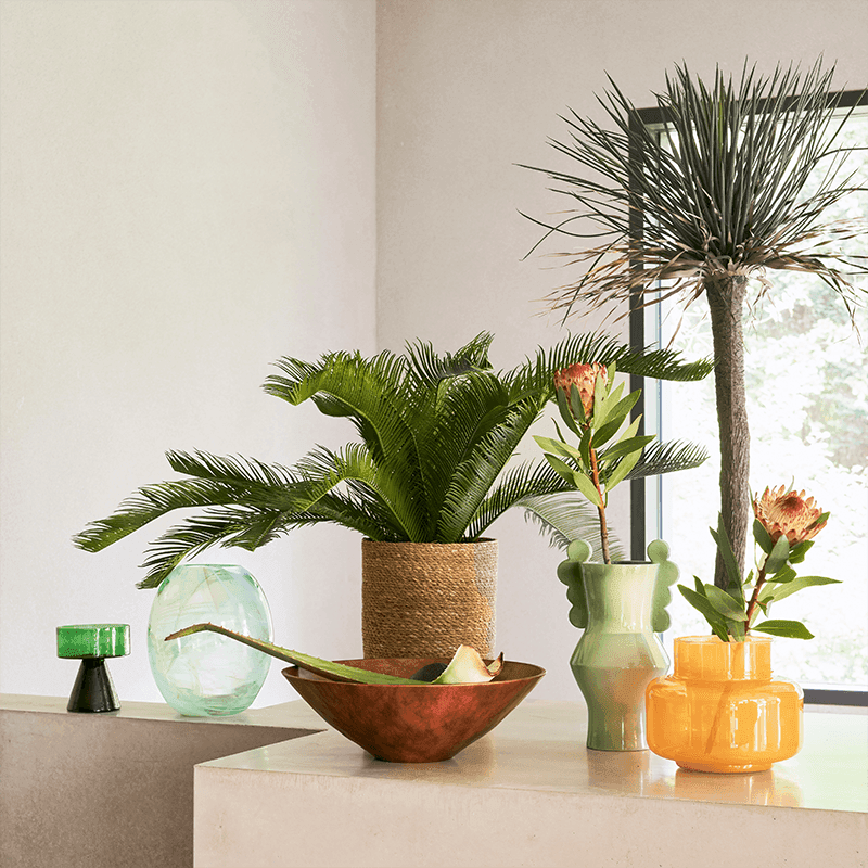 Urban Nature Culture-collectie Urban Nature Culture vase Circulo pale green
