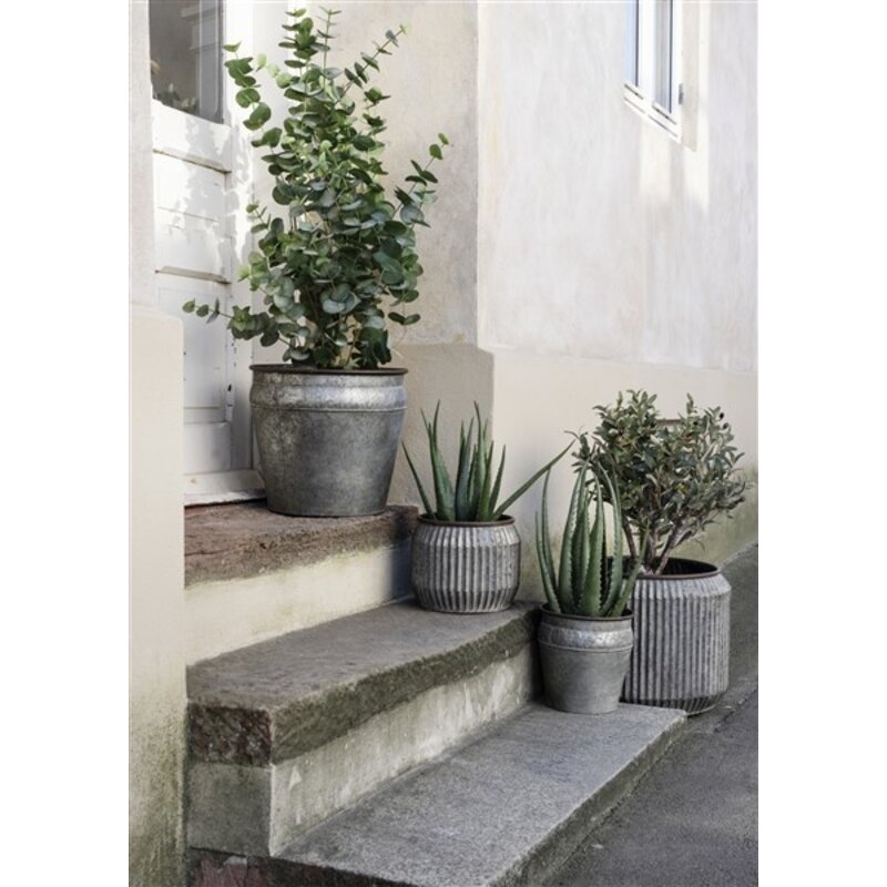 Madam Stoltz-collectie Round galvanized planters Iron natural
