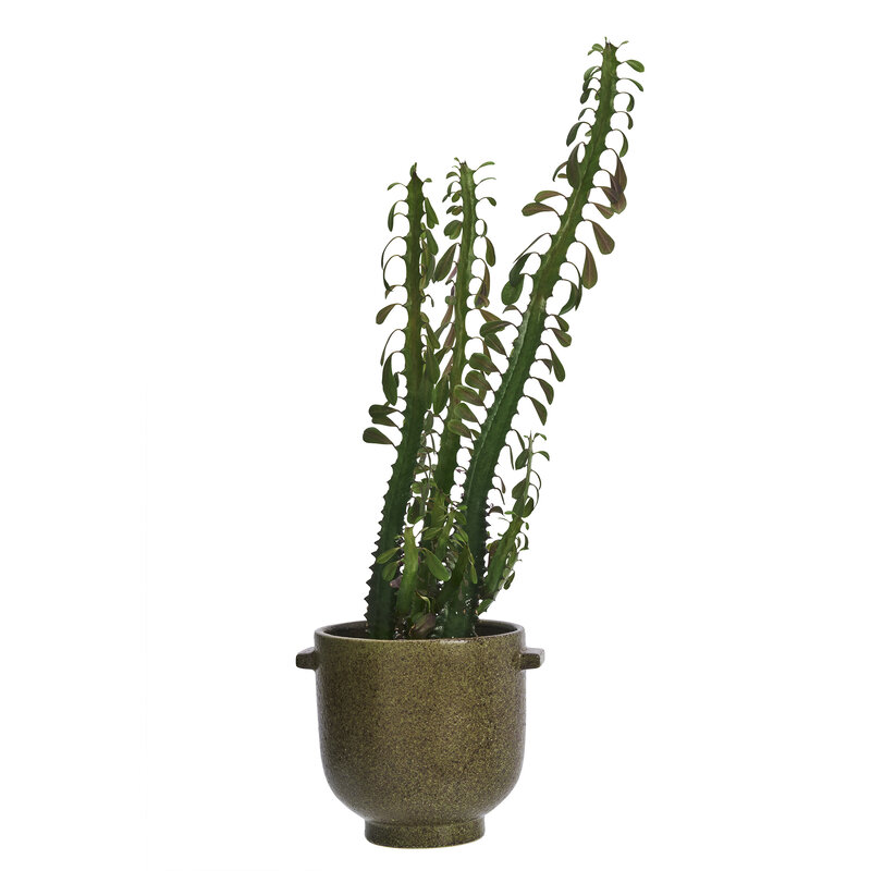 Madam Stoltz-collectie Stoneware flower pot Olive 17x17 cm