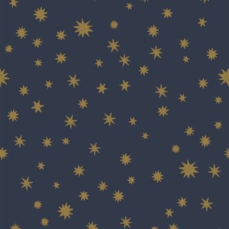 Meet Me at the Wall Kinderbehang Starry Night - Blue - Joelle Wehkamp