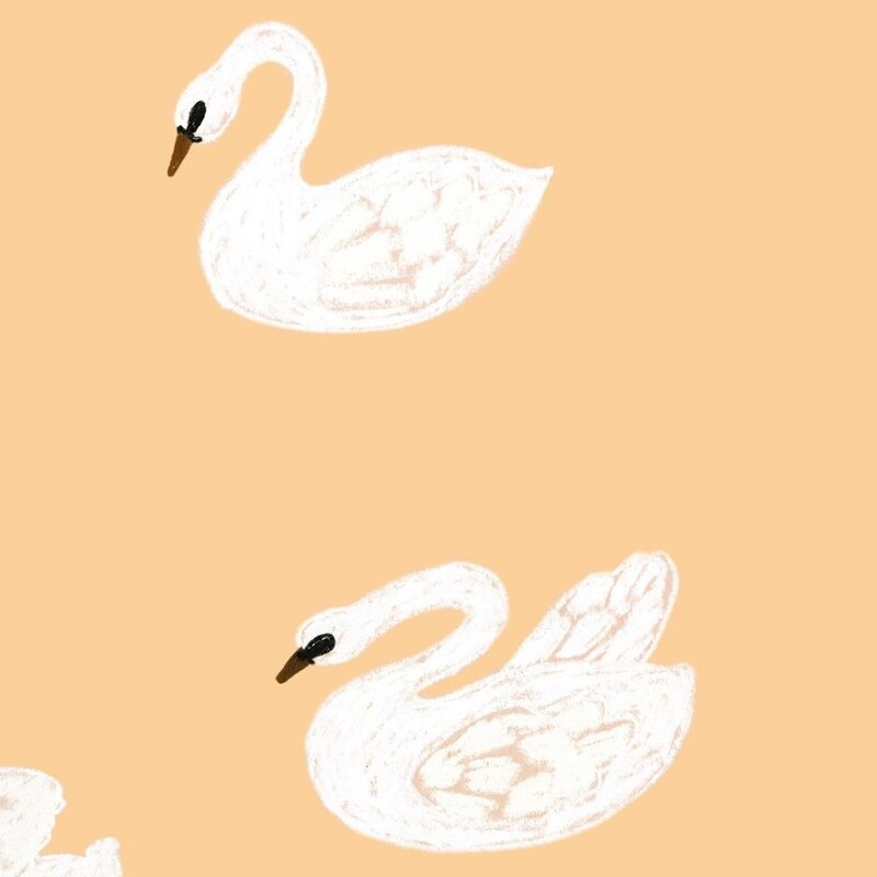 Meet Me at the Wall-collectie Kinderbehang Swans - Buttercup - Joelle Wehkamp
