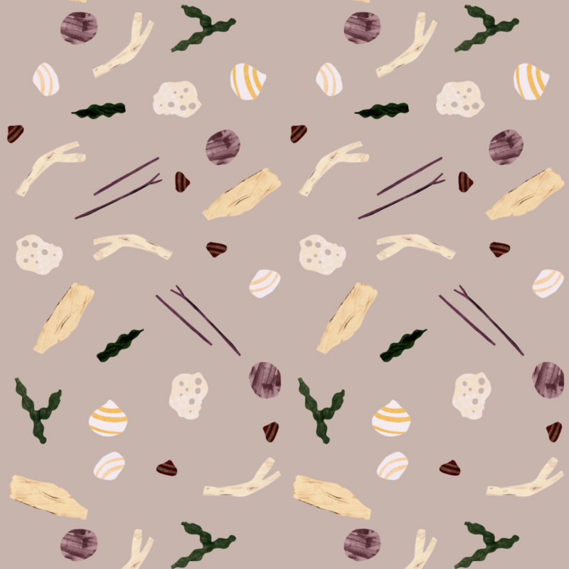 Meet Me at the Wall-collectie Behang Meet Me at the Wall - Sea and Shells Dusty Rose - Lotte Dirks