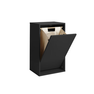 ReCollector Wasmand black raven