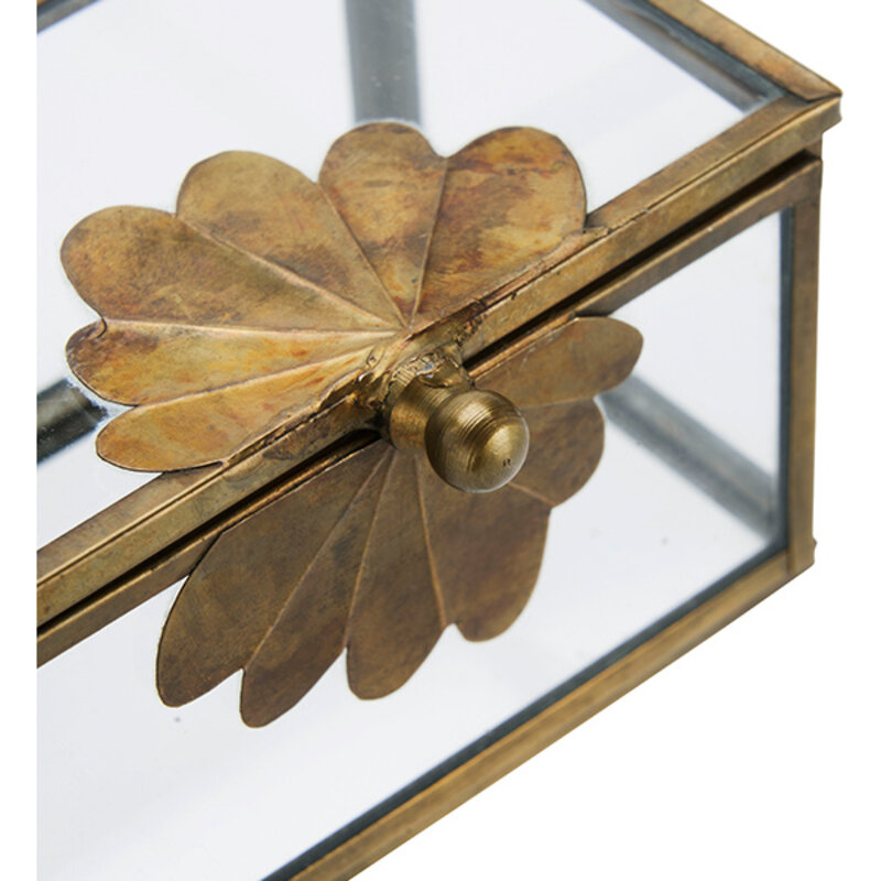 Madam Stoltz-collectie Glazen doos met messing blad Helder antiek messing