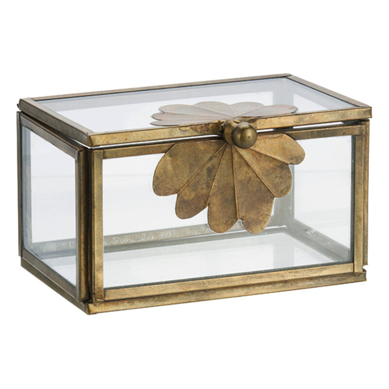 Madam Stoltz-collectie Glazen doos met messing blad Helder antiek messing