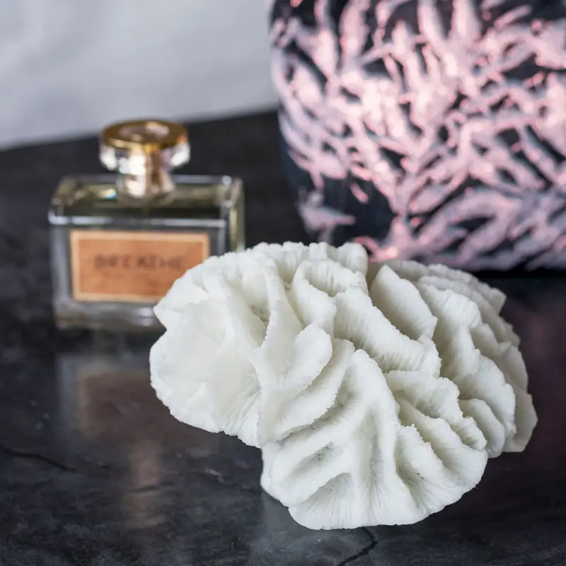 Mette Ditmer-collectie CORAL gills White